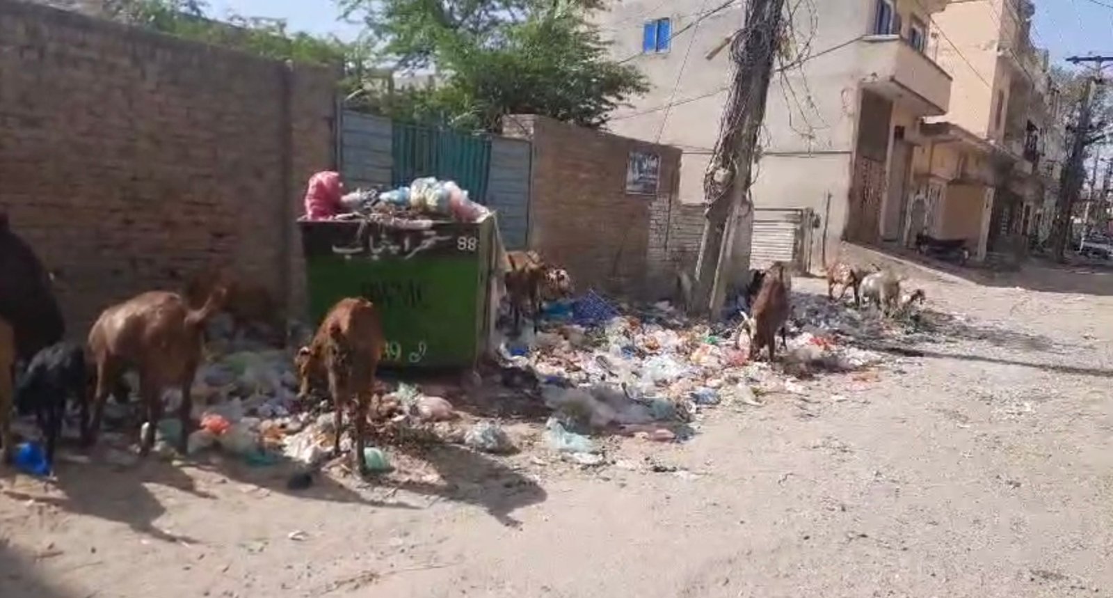 مقامی انتظامیہ کی نااہلی:صاف ستھرا پنجاب پروگرام چشتیاں میں بری طرح فلاپ