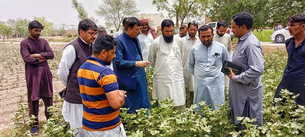 بہاولپور ڈویژن کے تینوں اضلاع میں 17لاکھ70ہزار ایکڑ رقبہ پر کپاس کی کاشت کا ہدف